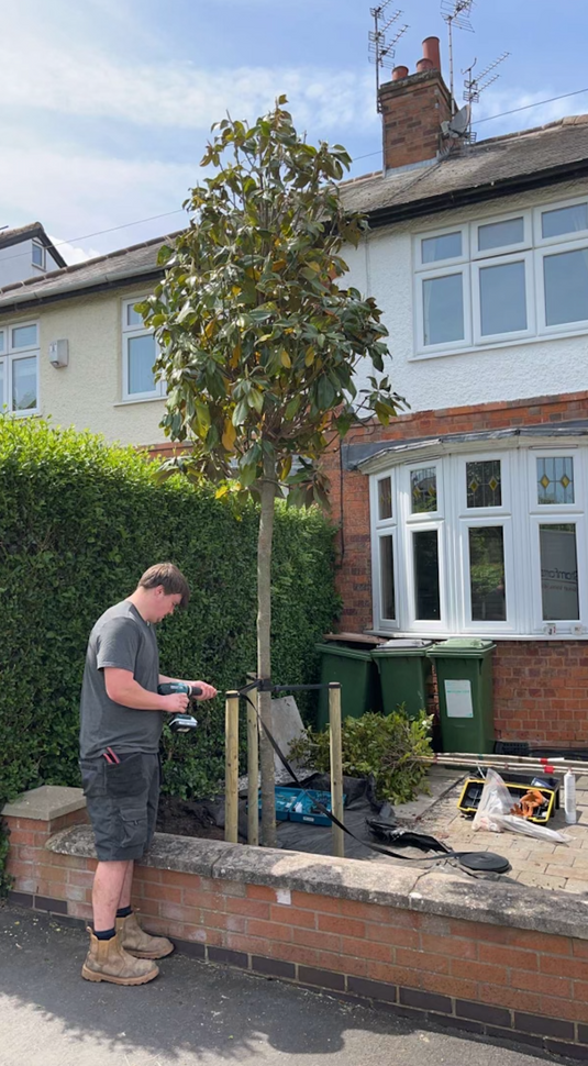 Planting & Delivery Information Tree Nursery Buy Mature Trees H&C