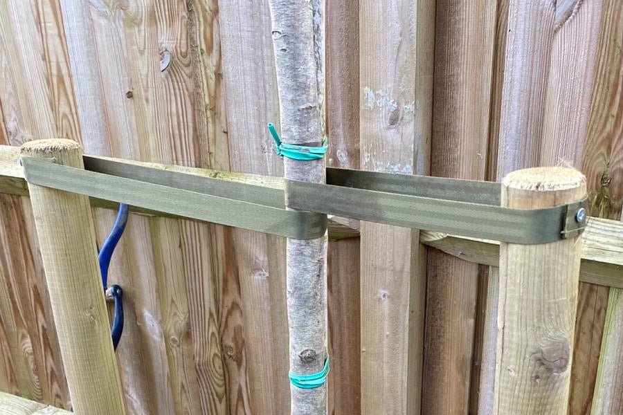 Extension Support Tree Supporting Trees | Tree Suppliers UK | Tree Delivery - H&C's Trees