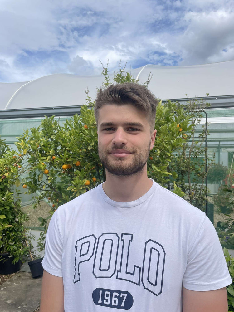 About Us Order Trees Online Tree Suppliers Tree Planting H&C's